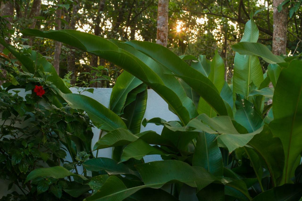 Villa Mia Mararikulam Exterior photo